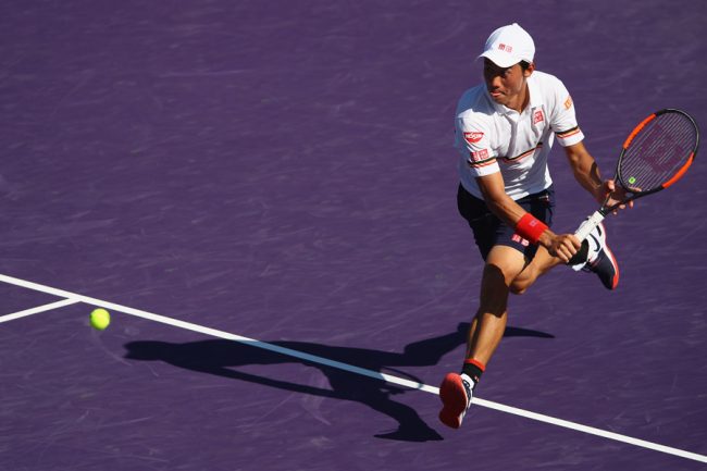 1 8秒の芸術 錦織 美しきロブ に実況感嘆 これぞまさに美味 The Answer スポーツ文化 育成 総合ニュースサイト