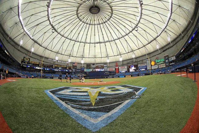 本塁打強奪 偽ボール投入男 退席処分のはずが再発見 米放送局 隠れられないぞ The Answer スポーツ文化 育成 総合ニュースサイト