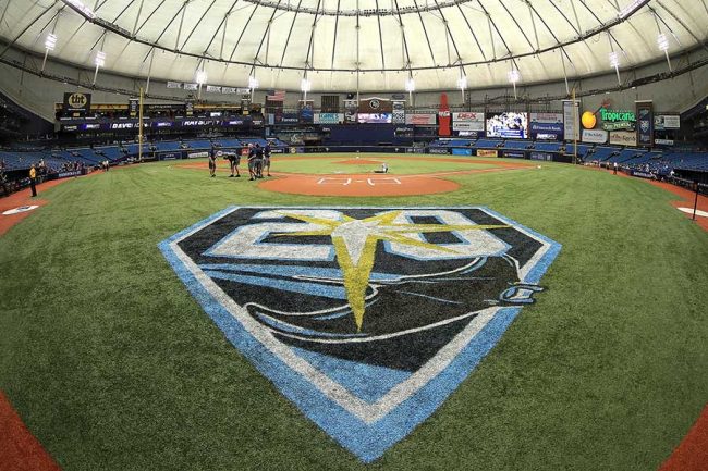 こんなのあり 本塁打を奪い取り 偽ボール投げ返すファンに米メディア憤慨 The Answer スポーツ文化 育成 総合ニュースサイト