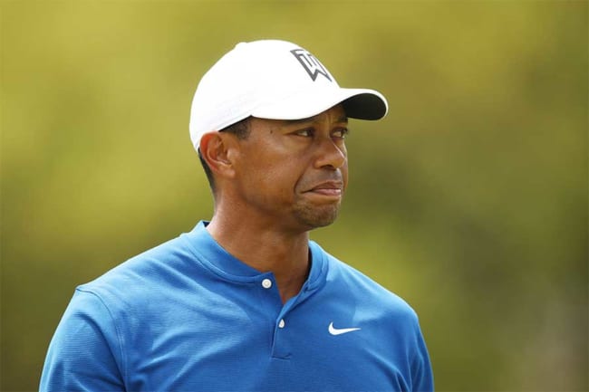 ウッズ 33フィートの くの字パット にファン喝采 完璧だ なんてパットだ The Answer スポーツ文化 育成 総合ニュースサイト