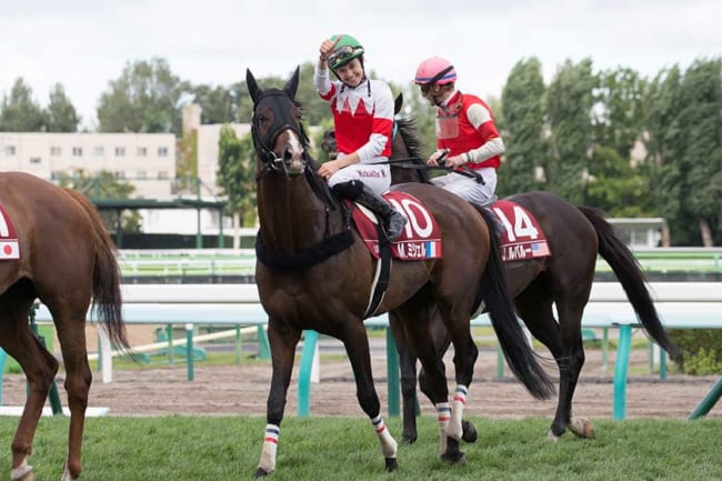 ミカエル ミシェル騎手 藤田菜七子騎手 サイン色紙 - スポーツ選手