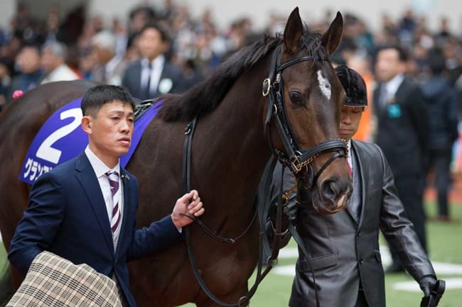 グランアレグリア 桜花賞 非売品帽子 競馬 スプリンター 安田記念 ...