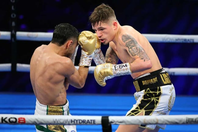 井上なおまさ 星の谷 井上尚弥 改めて中谷戦に意欲「来年5月にはお互いベストに持ってくる