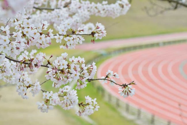 進学 寮生活で生理が止まった学生 春は要注意 ストレスから起こる無月経の正体 The Answer