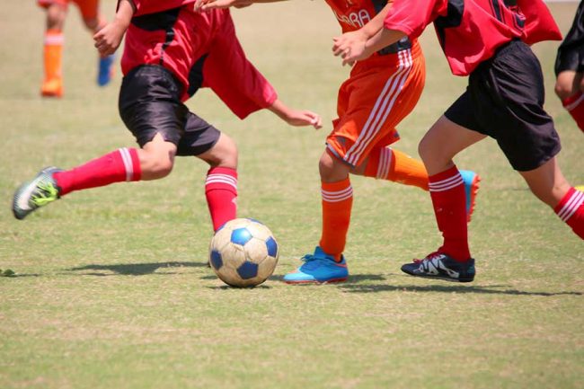 子どもが食べない 4つの野菜の活用法 好き嫌いする我が子に伝えたい食の大切さ The Answer