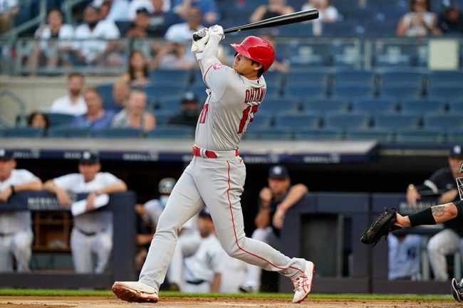 大谷翔平、弾丸26号を世界的サッカー選手も目撃 豪華客席に米驚き