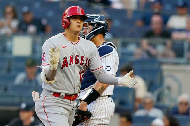 大谷翔平 弾丸26号を世界的サッカー選手も目撃 豪華客席に米驚き この写真笑える The Answer スポーツ文化 育成 総合ニュースサイト