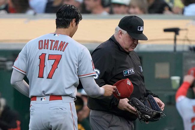 販売済み 審判 カメラ 大谷