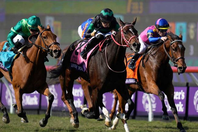 川田将雅、BC制覇後に見せたリアクションが競馬ファンに話題「これも