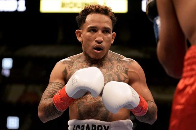 リング外に落下させる衝撃ko 無敗の米ボクサーにリング誌注目 壊滅的なワンパンチ The Answer