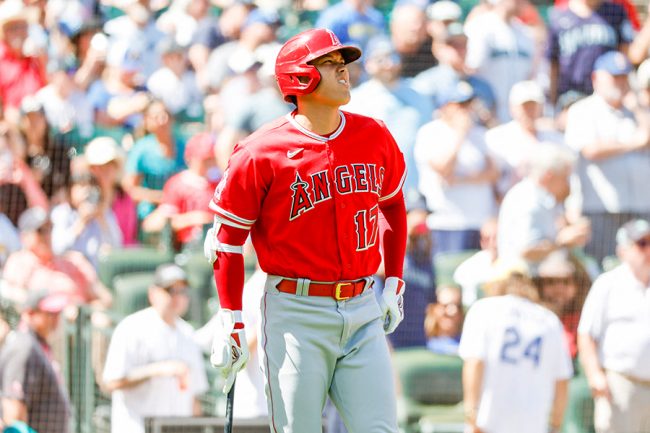 大谷翔平、投手との交錯を俯瞰映像で米記者が検証 意見様々「もう30cm