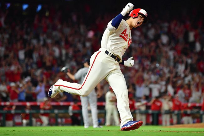 大谷翔平30号逆転3ラン！ ヤ軍エース粉砕で2年連続の大台、米記者衝撃