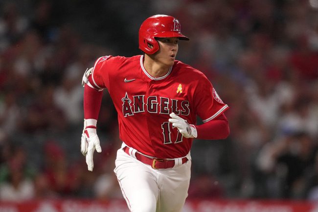 大谷翔平観戦で大型ビジョンにも登場 日本人アスリートに羨望の声 楽しそう The Answer