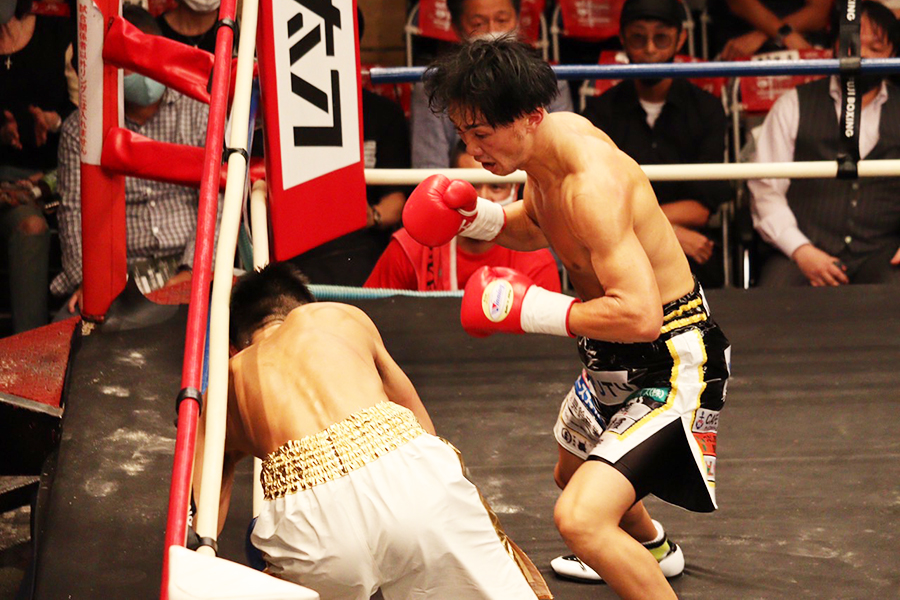 ロープ際、左フックで石田の顎を捉え、2回TKO勝ちした松本圭佑【写真：浜田洋平】