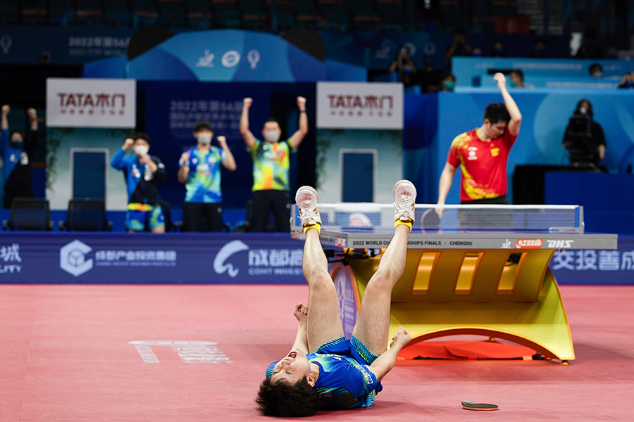世界卓球、中国戦で雄叫びとともに倒れこむ張本智和【写真：Getty Images】