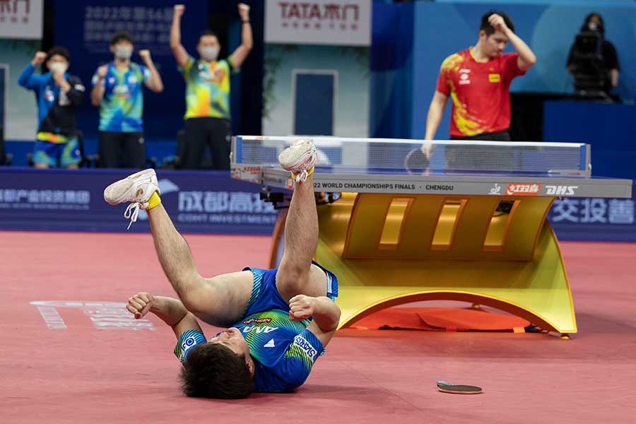 世界卓球、樊振東を撃破し雄叫びとともに倒れこむ張本智和【写真：Getty Images】