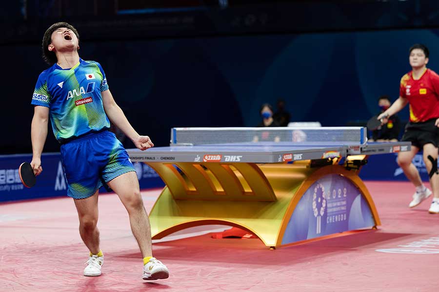 世界卓球、世界1位の樊振東を破り雄叫びをあげる張本智和【写真：Getty Images】