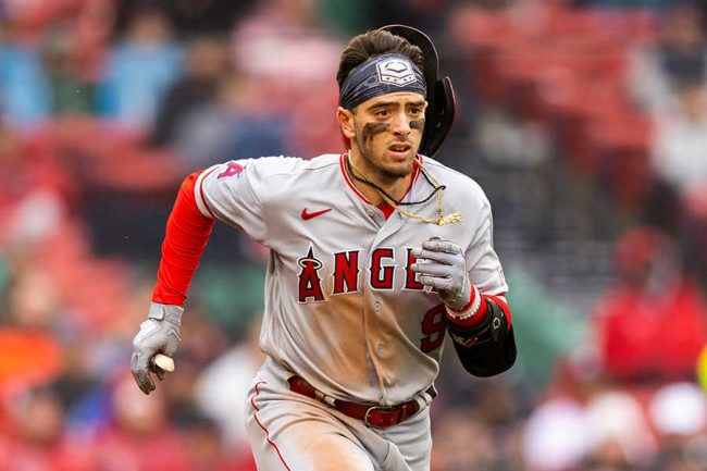 大谷翔平の同僚が「ヌートバーみたいだ」 打席での仕草に米興味津々