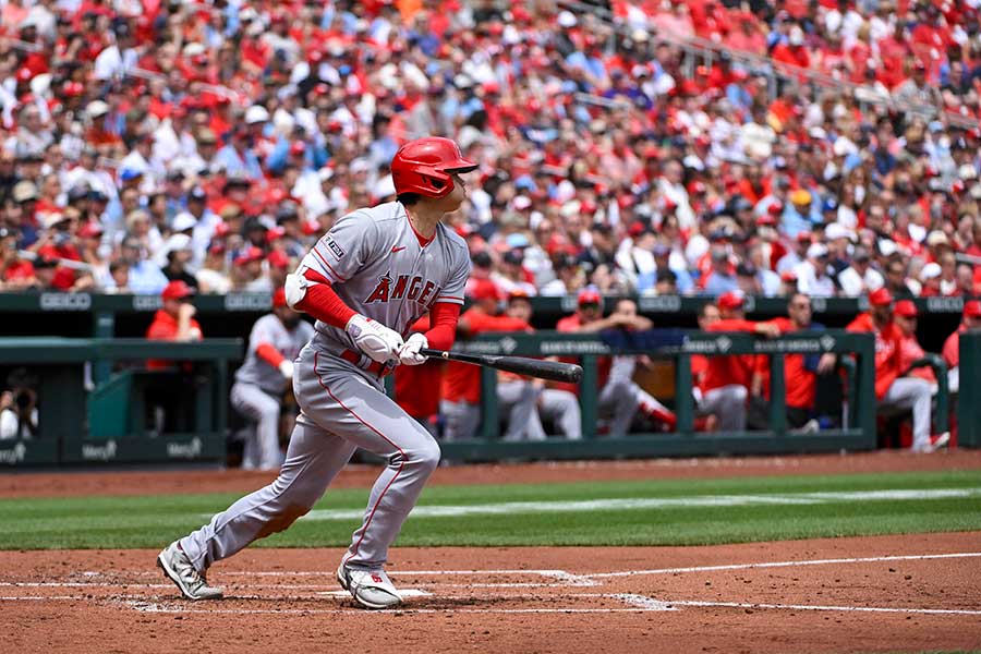 大谷翔平の試合に現れた可愛すぎる客が話題 中継に一瞬映り「ひまわり