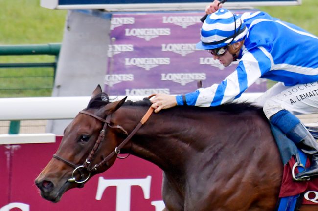 フランス競馬百年史 競馬の世界史 サラブレッド誕生から21世紀の凱旋門賞まで -本村凌二 著