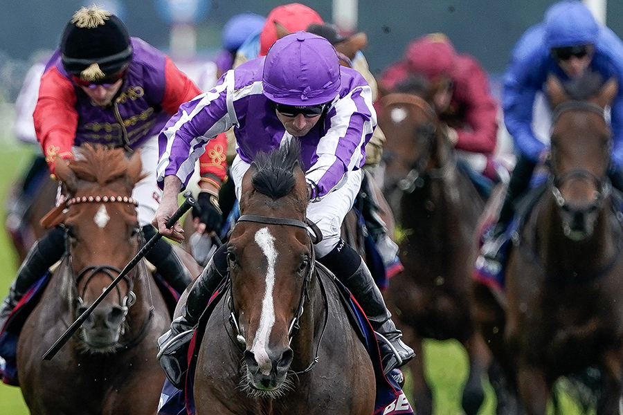 G1セントレジャーで優勝したコンティニュアス【写真：Getty Images】