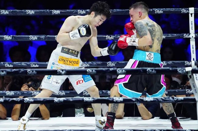 拳四朗 試合】Winning 寺地拳四朗使用MS-300黒10オンス試合用グローブ