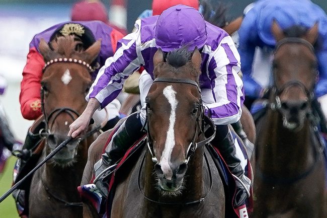 凱旋門賞で存在感、2頭の「日本馬」に英専門紙が高評価「2013年以来