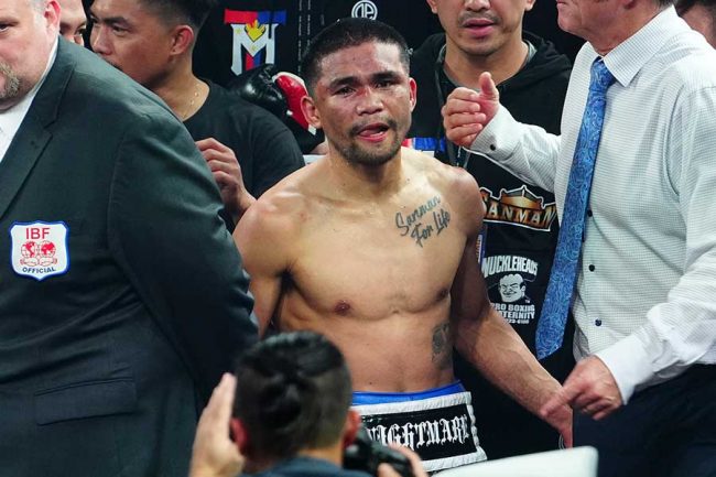 井上尚弥 対 マーロン•タパレス戦 RS席プレミアムチェア未開封 椅子