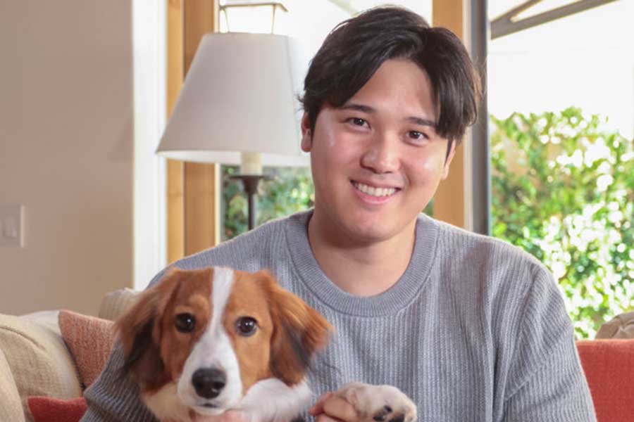 愛犬のデコピンと戯れる大谷翔平【写真：Getty Images】