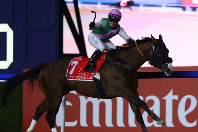 去年のイクイノックスかよ」 ウシュバテソーロを8馬身ちぎったUAE馬に