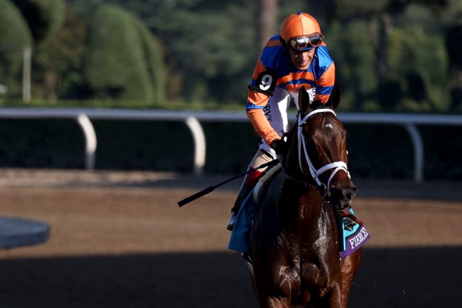 この怪物を見てくれ」 米G1でノーステッキ13馬身差圧勝に海外仰天