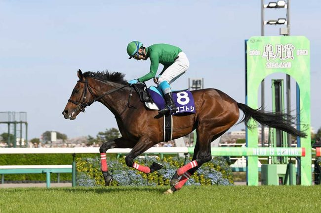 天国の藤岡康太へ「勝ったぞ!!」 黒岩悠の鞍上からの叫びに広がる感動