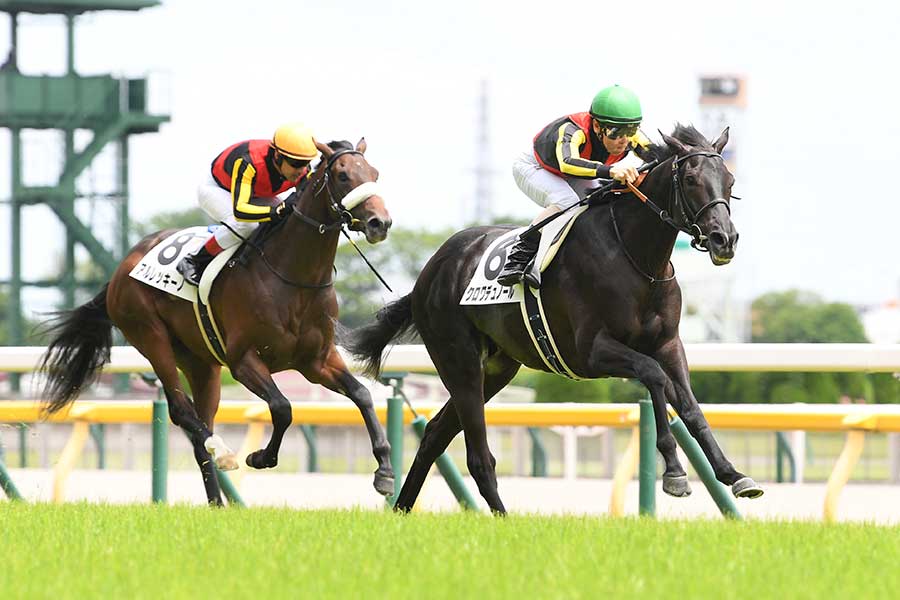 東京5R2歳新馬戦を完勝したクロワデュノール【写真：産経新聞社】