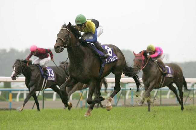 ディープインパクト 有馬記念 単勝 3枚セット ディープインパクト 有馬