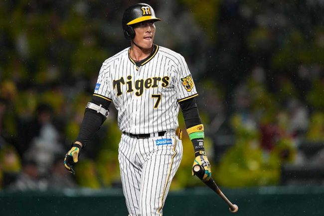 糸井選手 バッティンググローブ 【公式通販】