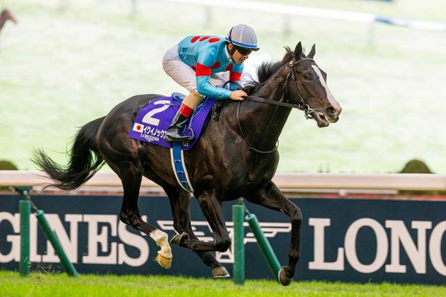 イクイノックスの倒し方