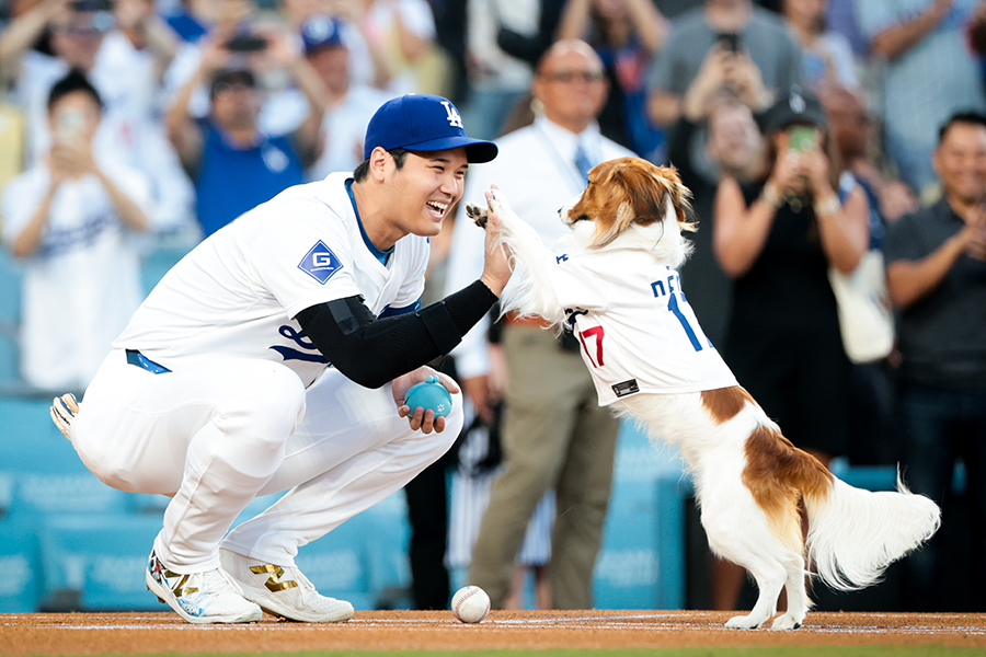 ホームで待つ大谷翔平にボールを届けてハイタッチする愛犬デコピン【写真：Getty Images】