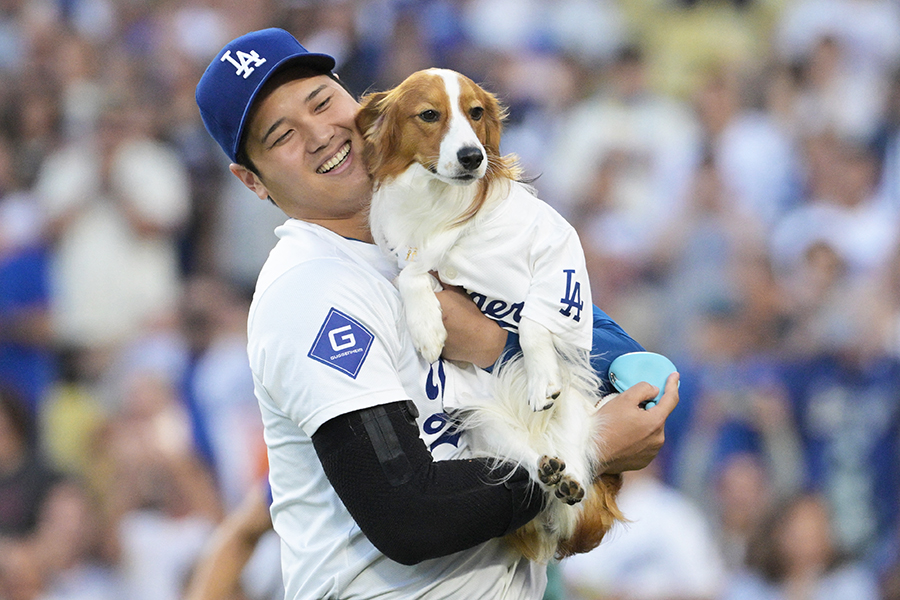 愛犬デコピンと始球式に登場したドジャースの大谷翔平【写真：ロイター】