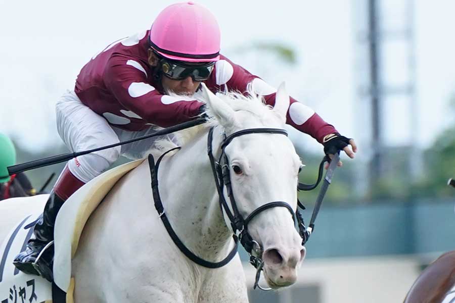 中京競馬場で行われた新馬戦を快勝したゴージャス【 写真：産経新聞社】