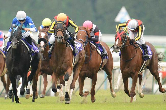 三冠牝馬を猛追した愛馬「勝てなかったけど褒めてあげたんだろうな…」 1通のメールに滲み出た調教助手の愛情【2012年秋華賞・アロマティコ】 | THE  ANSWER