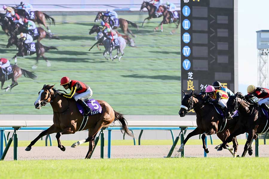 G1秋華賞で勝利したチェルヴィニア【 写真：産経新聞社】