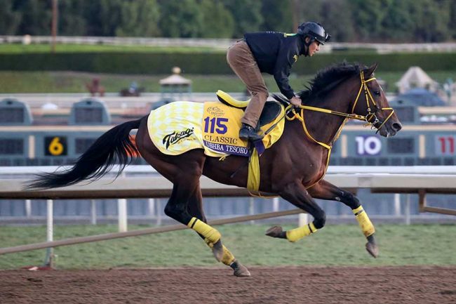 まねき馬 60弾SP No.2443ウシュバテソーロ ウシュバテソーロ10着完敗 高木調教師「残念な結果」「気持ちが