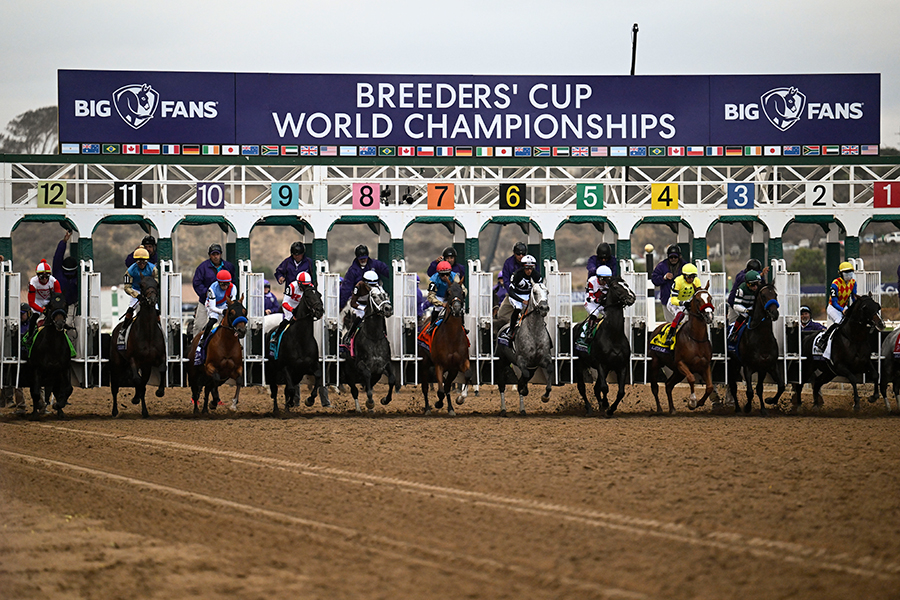 米カリフォルニア州デルマー競馬場で行われたブリーダーズカップ【写真：ロイター】