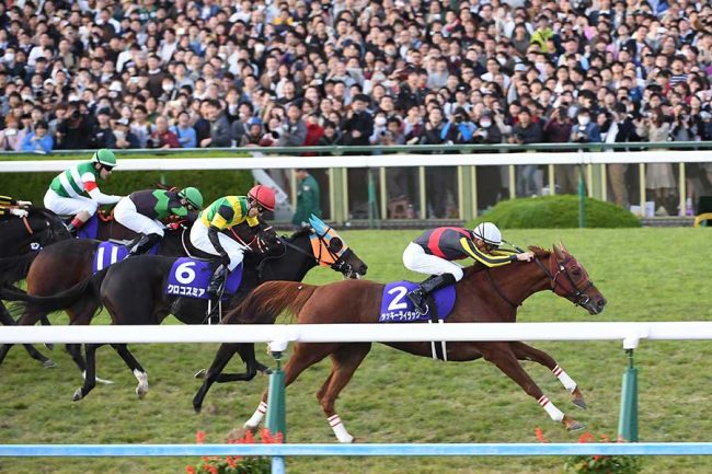 最強牝馬に何度も敗れ「もう終わった」 2歳女王の復活信じ…「◎」を