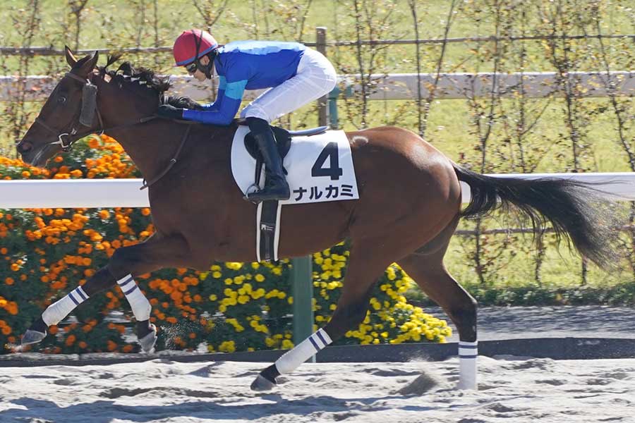 2歳新馬戦で圧勝した1番人気のナルカミ【写真：産経新聞社】