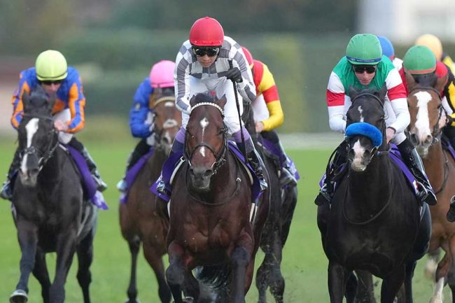 武豊がドウデュース馬上で漏らした言葉 ジャパンC制覇直後に「凄い馬だ