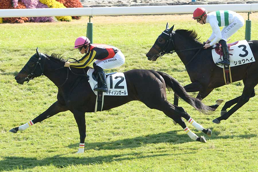 京都競馬場で行われた新馬戦で勝利したマディソンガール【写真：産経新聞社】