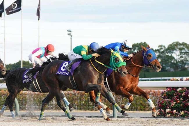 日本の競馬で「マジで危険」「命懸けだ」とファン衝撃 最後の直線
