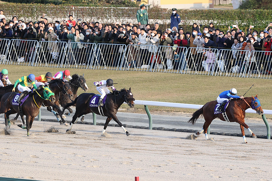 G1チャンピオンズカップに出走したペプチドナイル（ゼッケン４）【写真：産経新聞社】