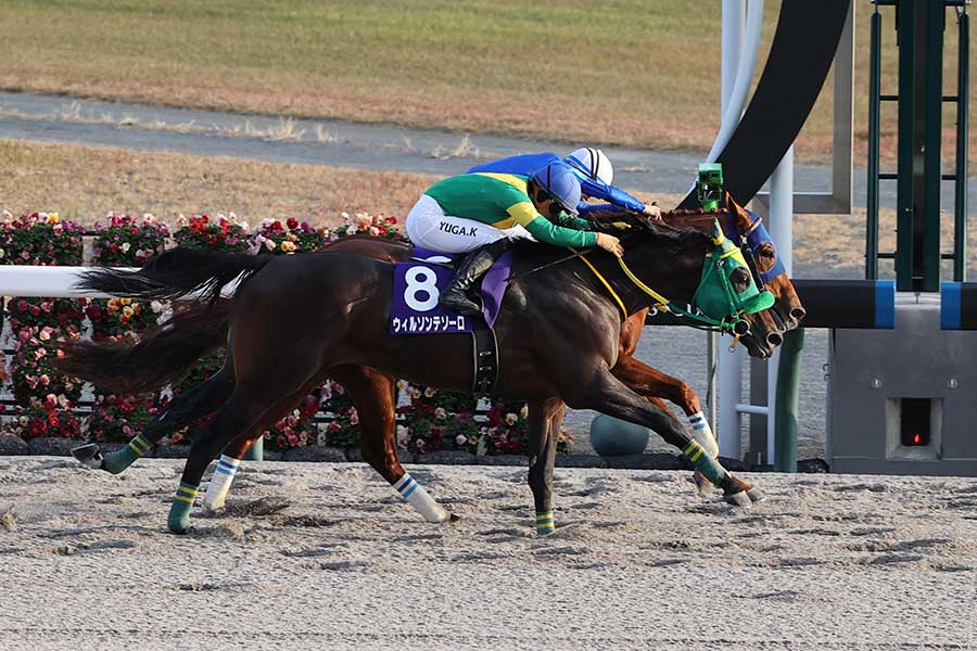 2着馬に騎乗した川田将雅騎手【写真：産経新聞社】